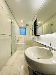 Radiance @ Bukit Timah (D21), Terrace #543607351